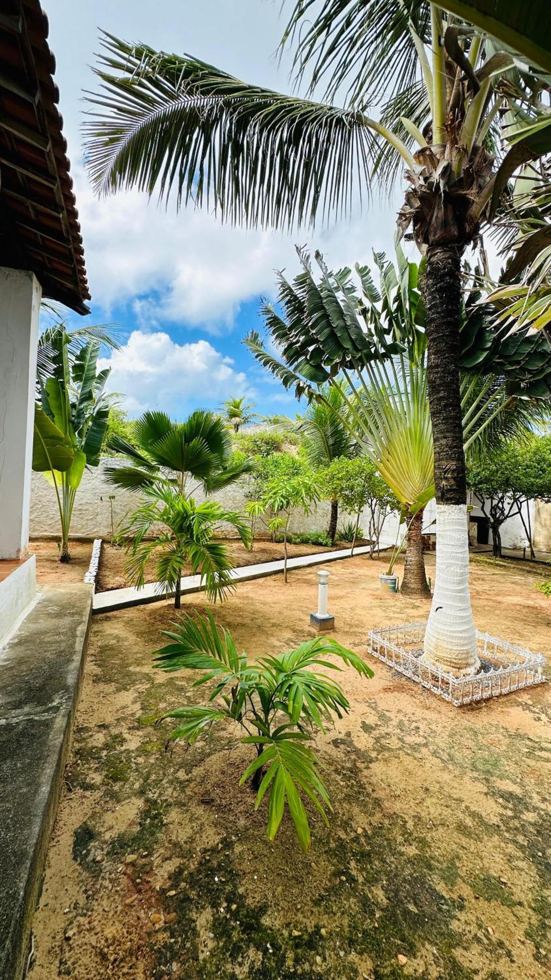 B&B Residencia Casa Branca Sítio Exterior photo